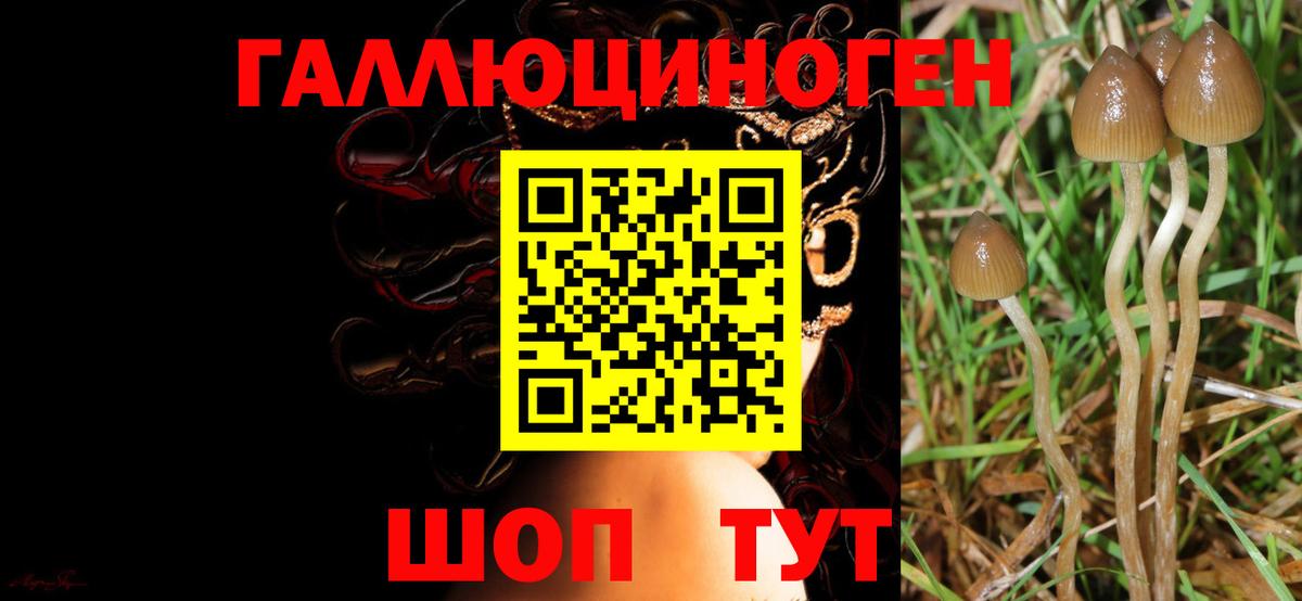 Галлюциногенные грибы Magic Shrooms  Вход с VPN  Борзя 